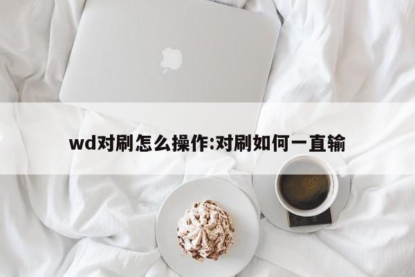 wd对刷怎么操作:对刷如何一直输