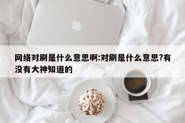 网络对刷是什么意思啊:对刷是什么意思?有没有大神知道的