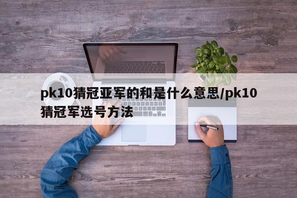 pk10猜冠亚军的和是什么意思/pk10猜冠军选号方法